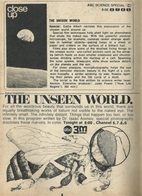  The Unseen World: Un Voyage Fantastique à Travers Les Mystères de L'Histoire Indonedienne!